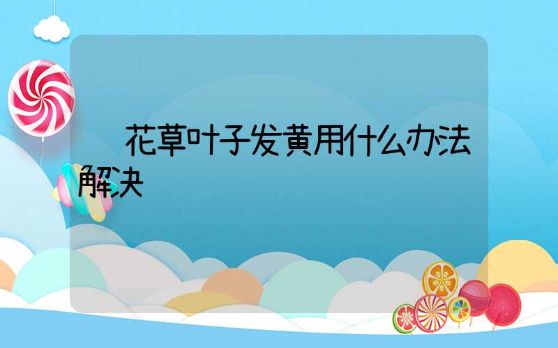  花草叶子发黄用什么办法解决